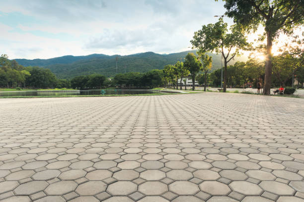 Best Residential Driveway Paver Services  in Morristown, TN