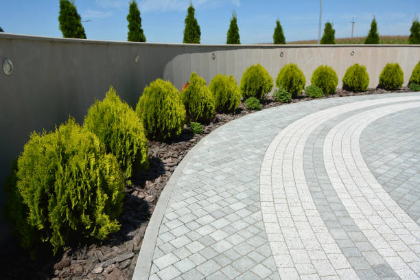 Best Driveway Paving Near Me  in Morristown, TN